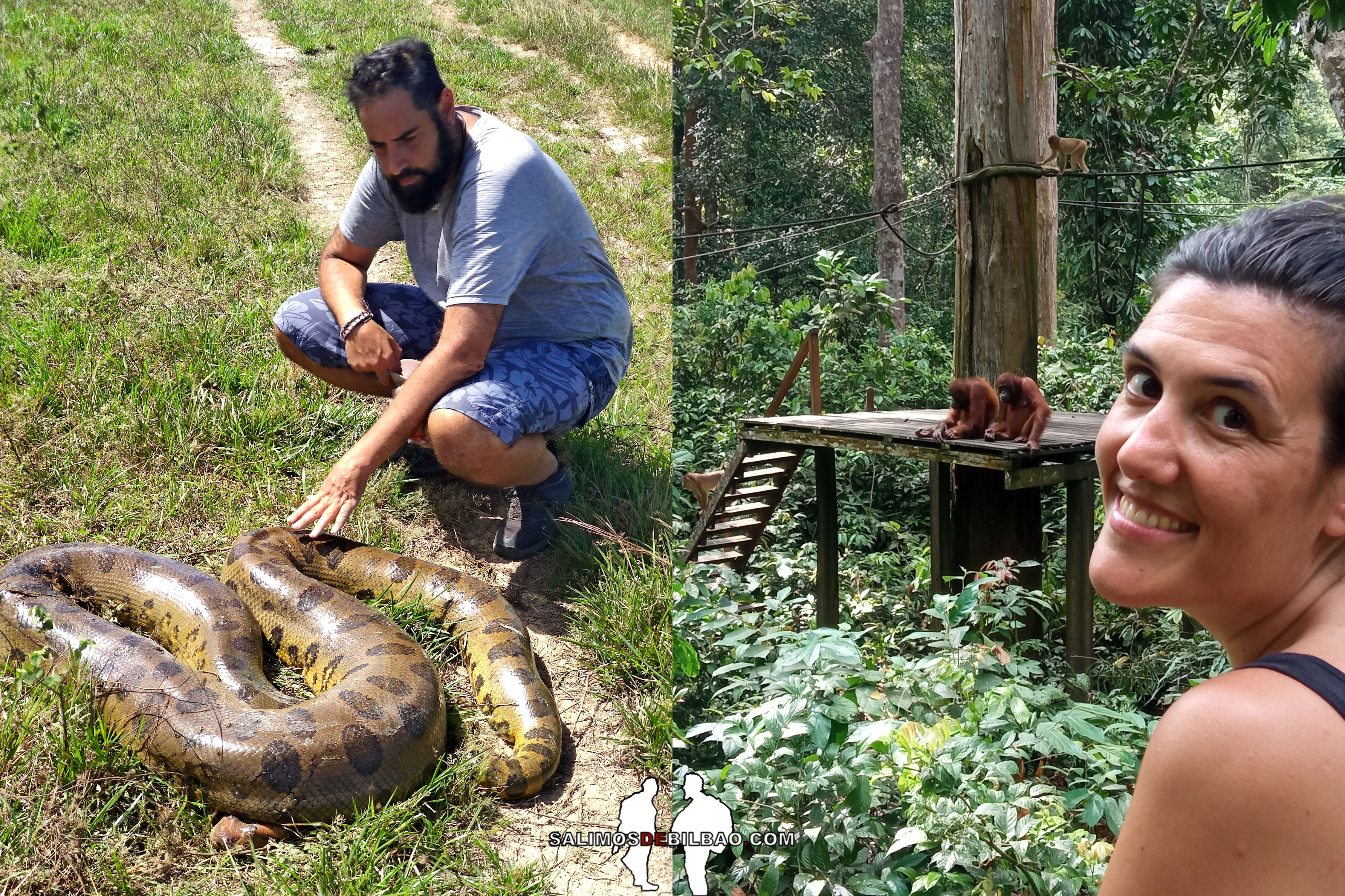 Oscar Cacho y Saioa Prado. Naturaleza en Borneo y Venezuela.